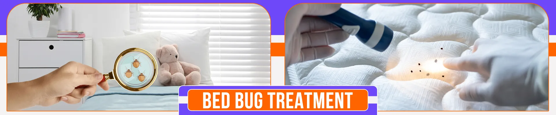 carpet cleaners in Brooklyn, carpet cleaning in Brooklyn, carpet cleaning bkln, carpet cleaners in brooklyn,  commercial carpet cleaning, commercial carpet cleaning in brooklyn,carpet cleaning in brooklyn,  brooklyn rug cleaners, rug cleaning services in brooklyn, same day carpet cleaning, same day rug cleaning