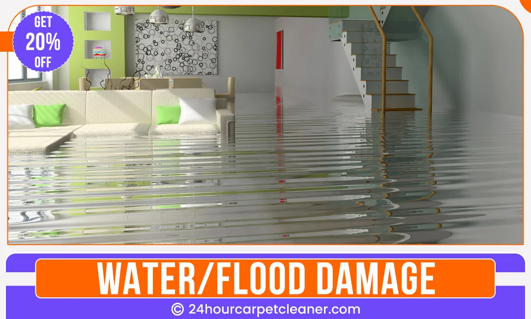 carpet cleaners in Brooklyn, carpet cleaning in Brooklyn, carpet cleaning bkln, carpet cleaners in brooklyn,  commercial carpet cleaning, commercial carpet cleaning in brooklyn,carpet cleaning in brooklyn,  brooklyn rug cleaners, rug cleaning services in brooklyn, same day carpet cleaning, same day rug cleaning