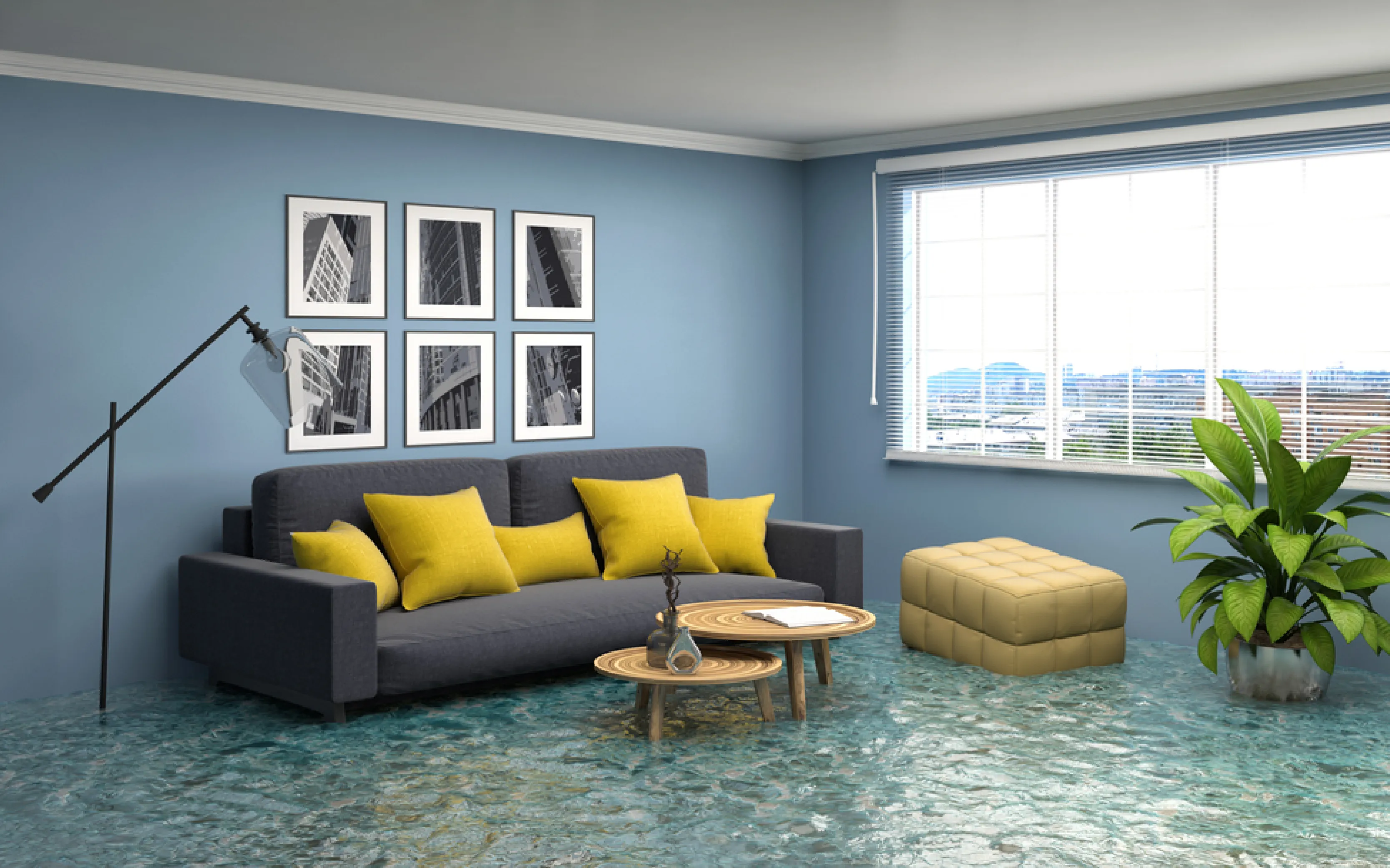 carpet cleaners in Brooklyn, carpet cleaning in Brooklyn, carpet cleaning bkln, carpet cleaners in brooklyn,  commercial carpet cleaning, commercial carpet cleaning in brooklyn,carpet cleaning in brooklyn,  brooklyn rug cleaners, rug cleaning services in brooklyn, same day carpet cleaning, same day rug cleaning